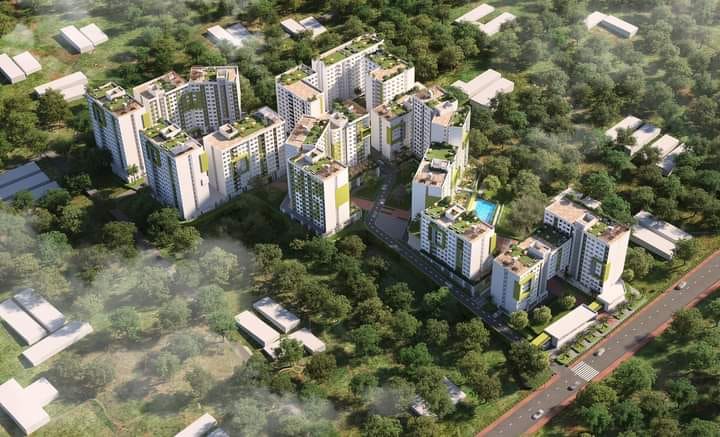 Real Estate Trends
