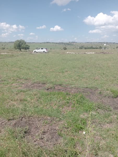 Property Site Visits